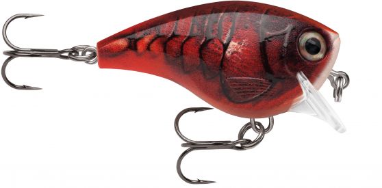 BX BRAT RAPALA